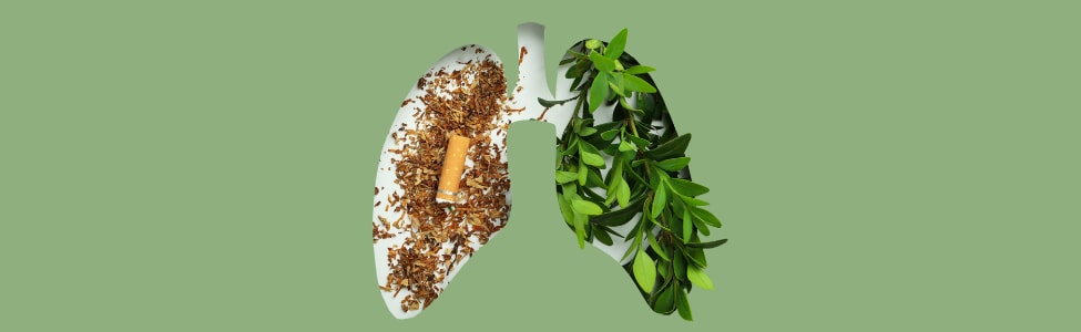 10 Tips for Promoting Healthy Lungs