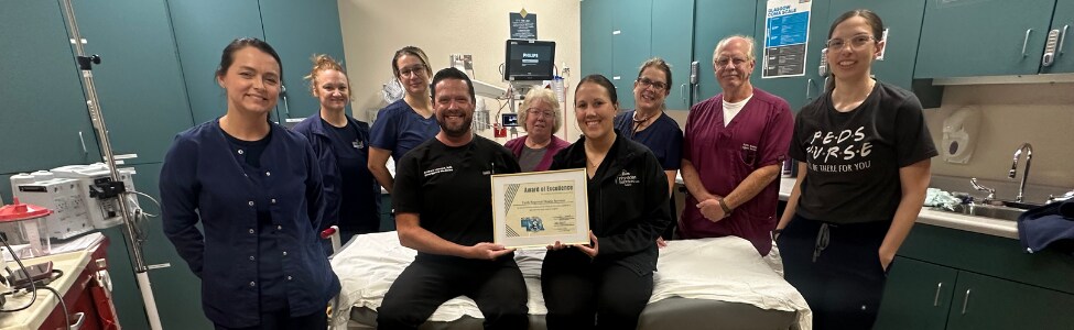 Emergency Services Pediatrics team with DHHS award